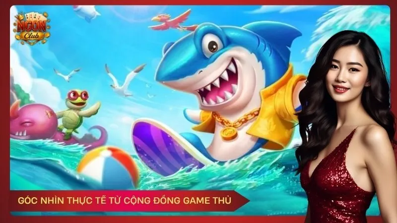 Góc nhìn thực tế từ cộng đồng game thủ