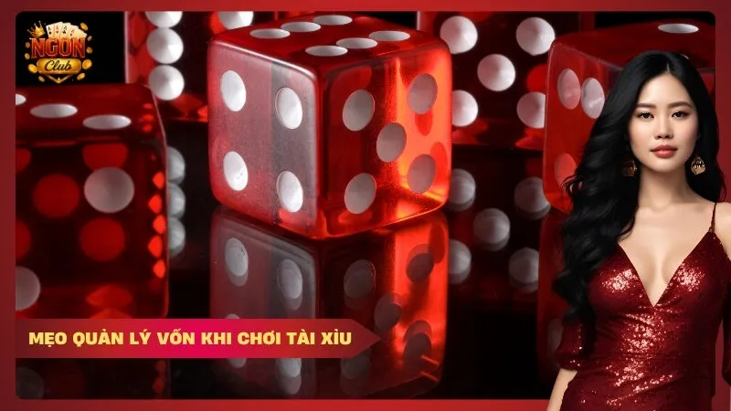 Mẹo Quản Lý Vốn Khi Chơi Tài Xỉu